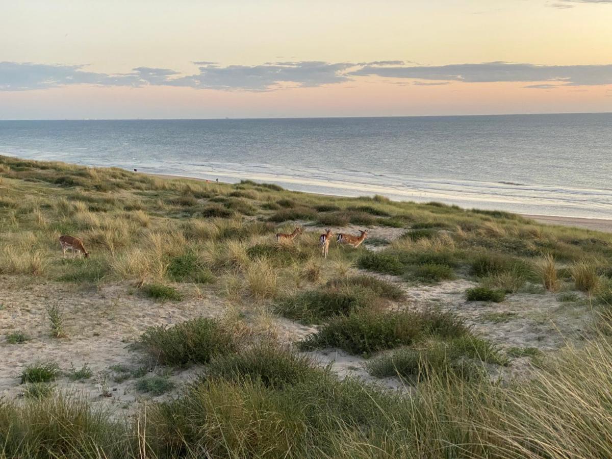 Apartament Zwarte Vis Zandvoort Zewnętrze zdjęcie